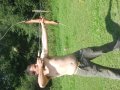 DSCN0755.JPG